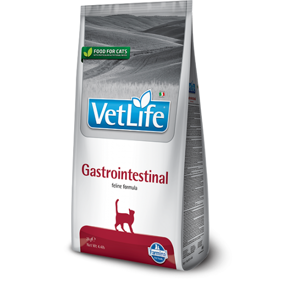 GASTROINTESTINAL FELINE (2 kg)