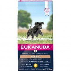 EUKANUBA JUNIOR LARGE BREED (15 kg)