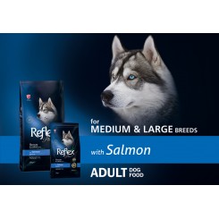 REFLEX + ADULT MEDIUM&LARGE SALMON (15 kg)