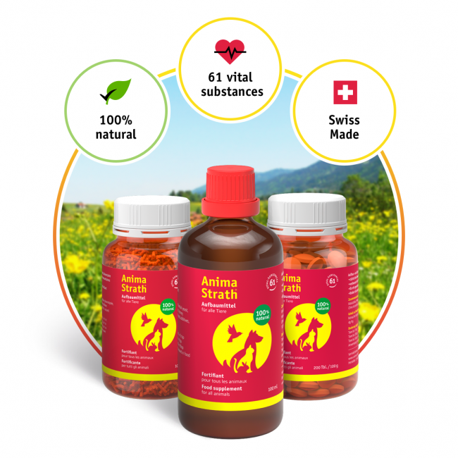 ANIMA STRATH_сируп (100/200 ml)