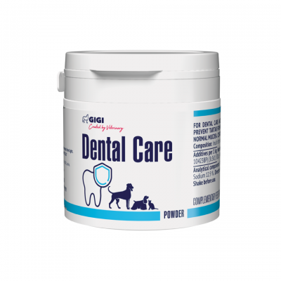 GIGI DENTAL CARE (35 gr.)