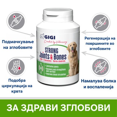 GIG-VET JOINTS&BONES (30 tbl)