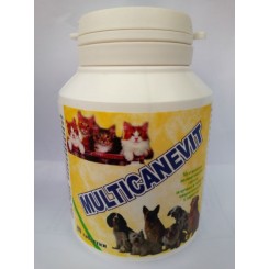 MULTIKANEVIT