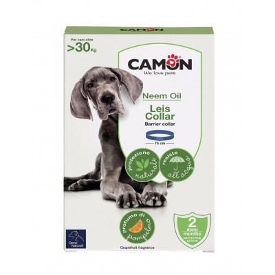 CAMON COLAR LARGE_75 sm (> 30 kg)